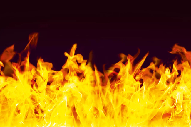 CPD: Fire safety guidance for green roofs