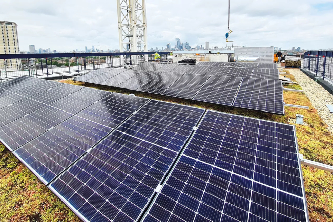 CPD: How to deliver a biosolar green roof