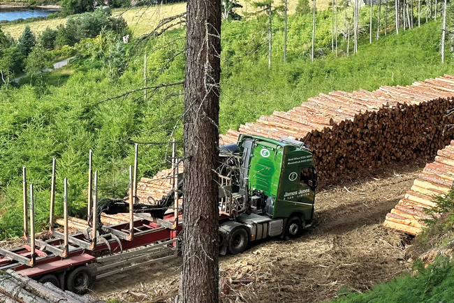 CPD: How to procure UK-grown timber