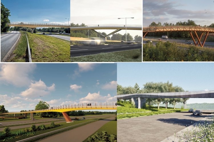 Timber designs shortlisted for roads ‘footbridge of the future’